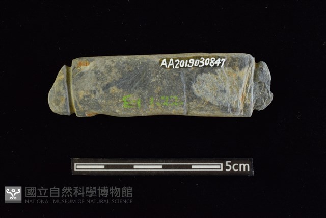 網墜藏品圖，第2張
