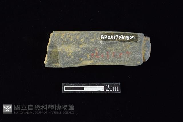 網墜藏品圖，第2張