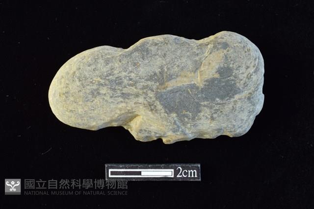 網墜藏品圖，第2張