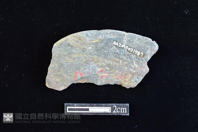 網墜藏品圖，第2張