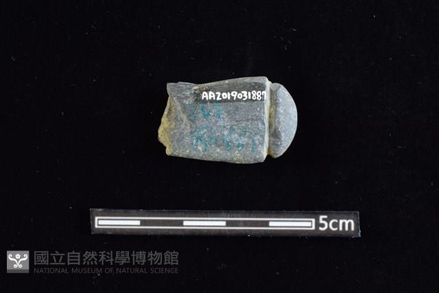 網墜藏品圖，第2張