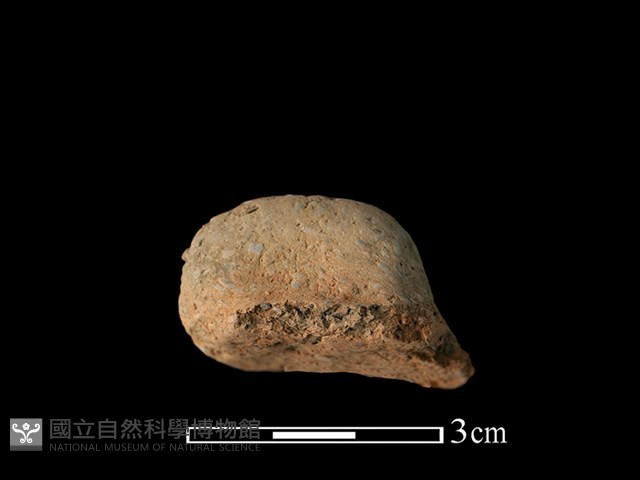 陶耳藏品圖，第2張