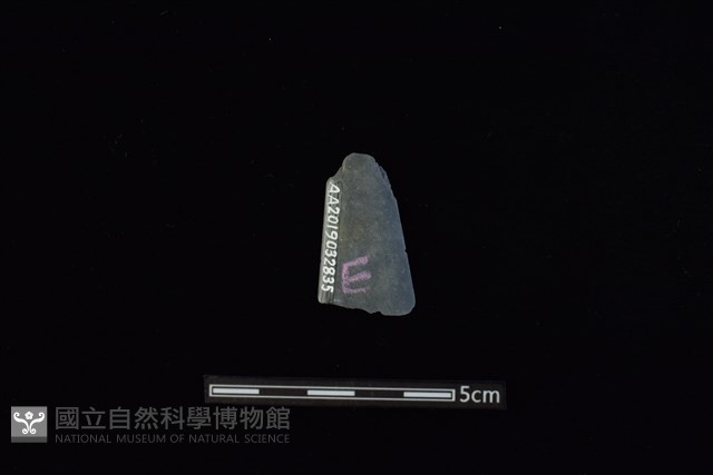 矛鏃形器藏品圖，第2張