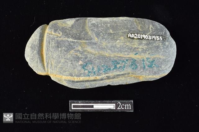 網墜藏品圖，第2張