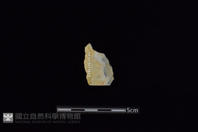 矛鏃形器藏品圖，第2張