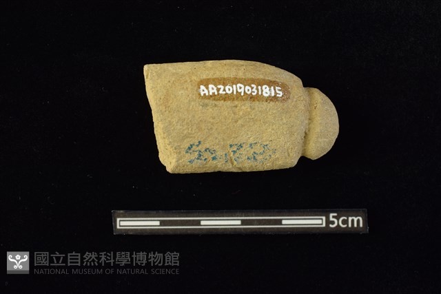 網墜藏品圖，第2張