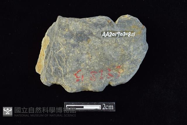 網墜藏品圖，第2張