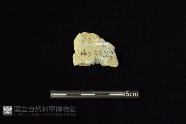 石材藏品圖，第2張