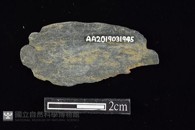 網墜藏品圖，第2張