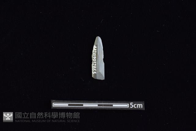 矛鏃形器藏品圖，第2張