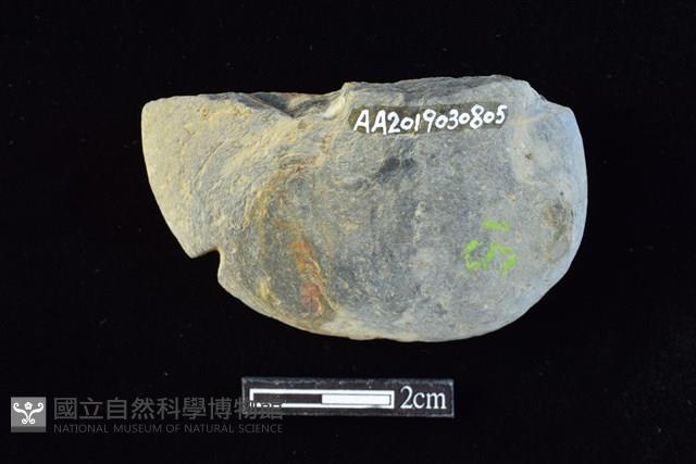 網墜藏品圖，第2張