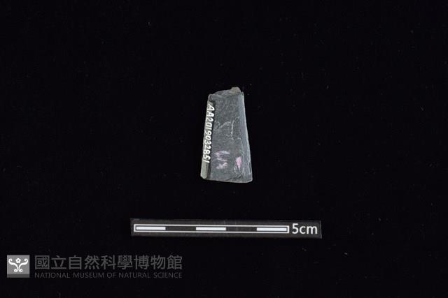 矛鏃形器藏品圖，第2張