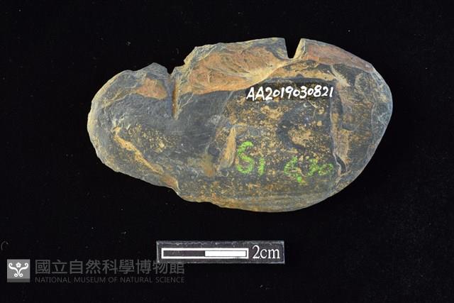 網墜藏品圖，第2張