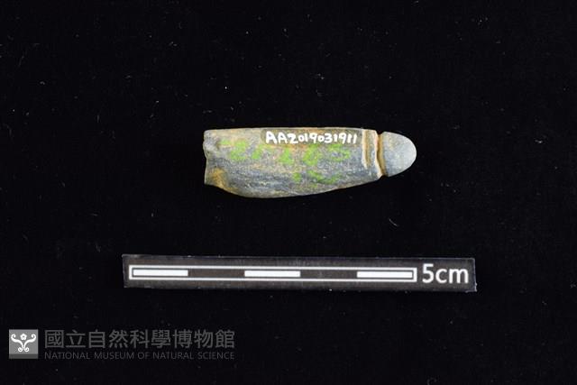 網墜藏品圖，第2張