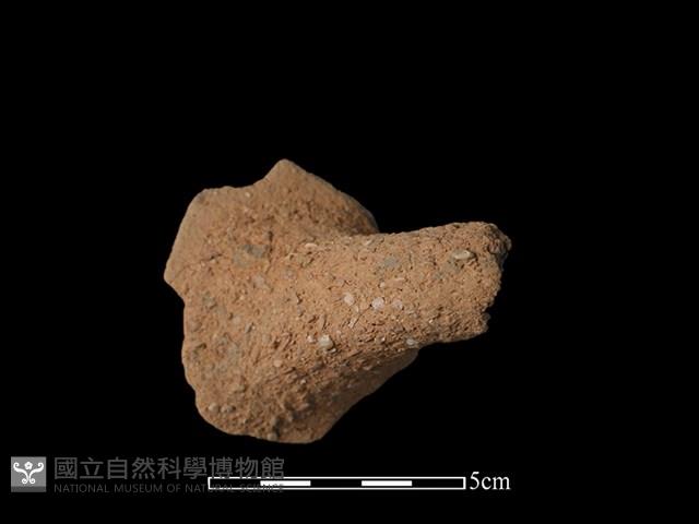 陶把藏品圖，第2張