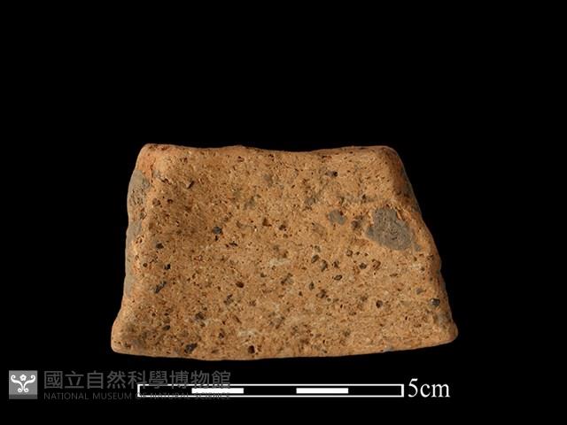 陶片藏品圖，第2張