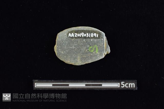 網墜藏品圖，第2張