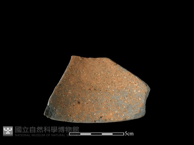 陶片藏品圖，第2張