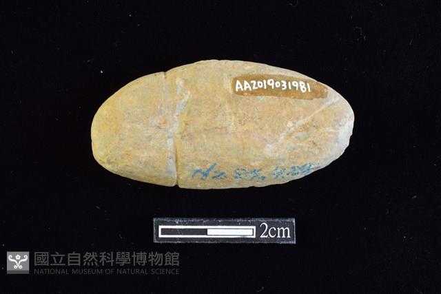 網墜藏品圖，第2張