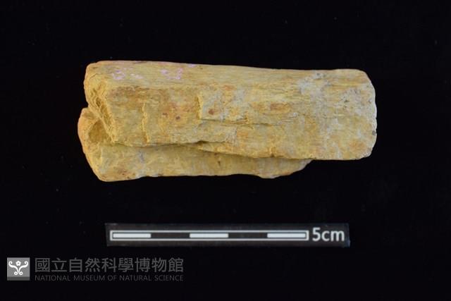 石材藏品圖，第2張