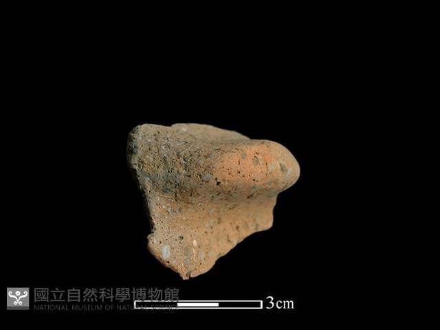 陶耳藏品圖，第2張