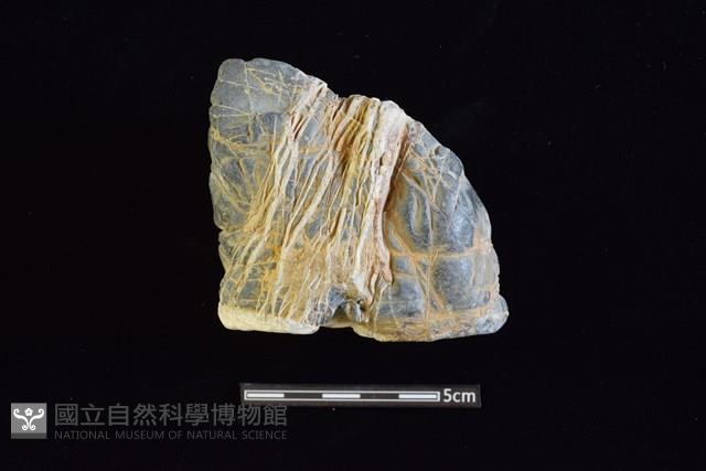 石材藏品圖，第2張