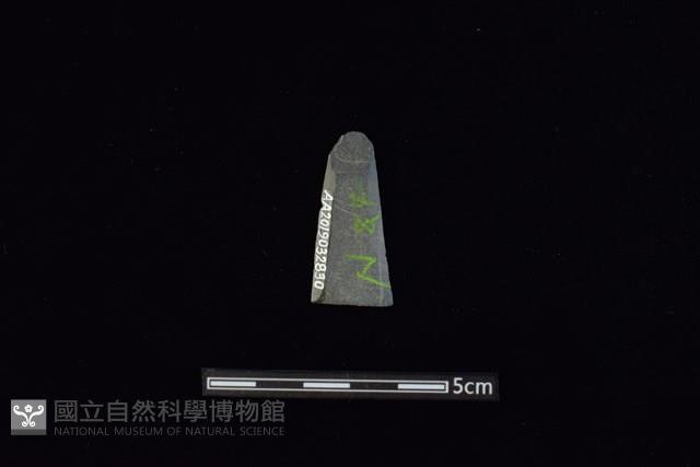 矛鏃形器藏品圖，第2張