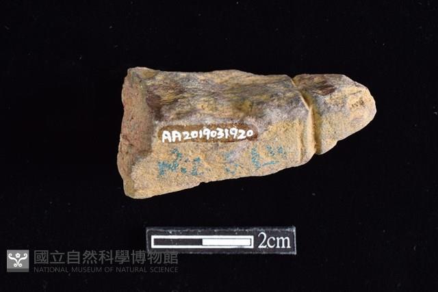 網墜藏品圖，第2張