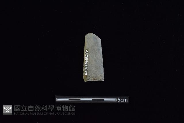 矛鏃形器藏品圖，第2張