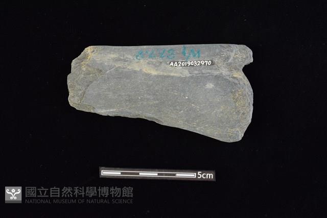 Accession Number:AA2019032970 Collection Image, Figure 2, Total 2 Figures