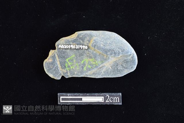 網墜藏品圖，第2張