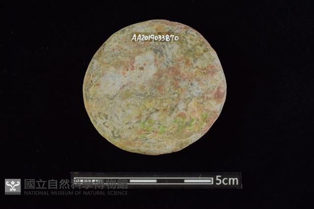 石圓片藏品圖，第2張