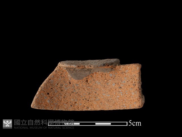 陶片藏品圖，第2張