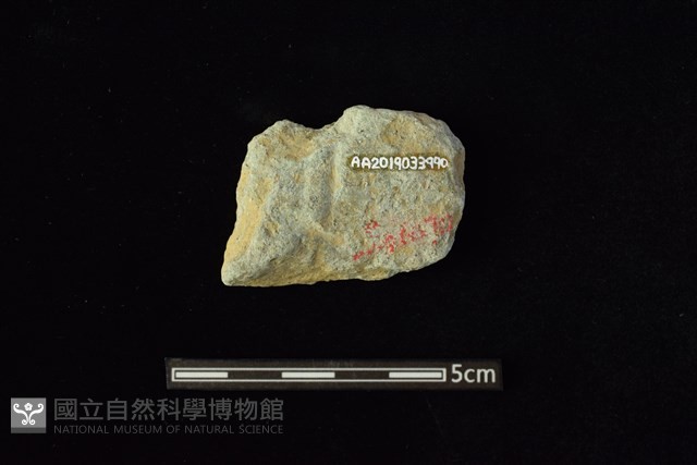 石材藏品圖，第2張