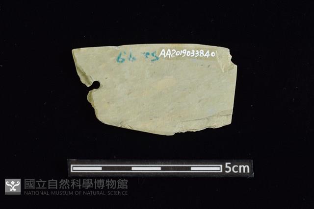 矛鏃形器藏品圖，第2張