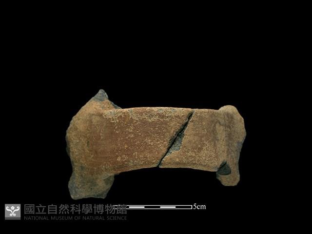 陶把藏品圖，第2張