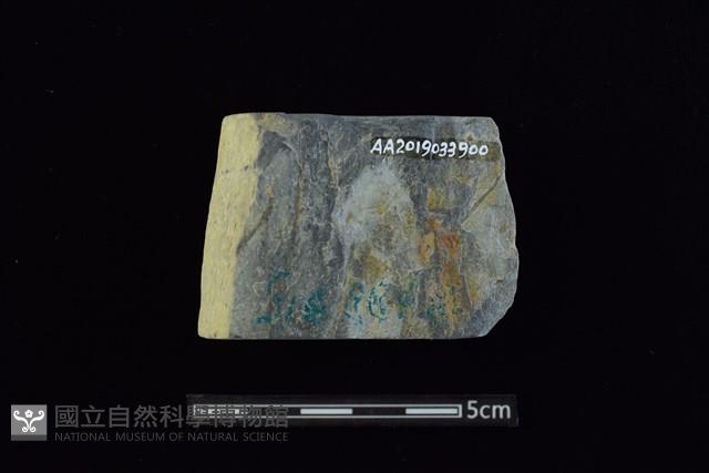 石材藏品圖，第2張