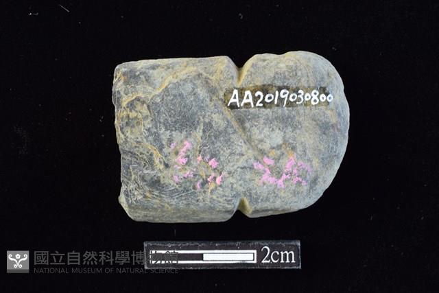 網墜藏品圖，第2張