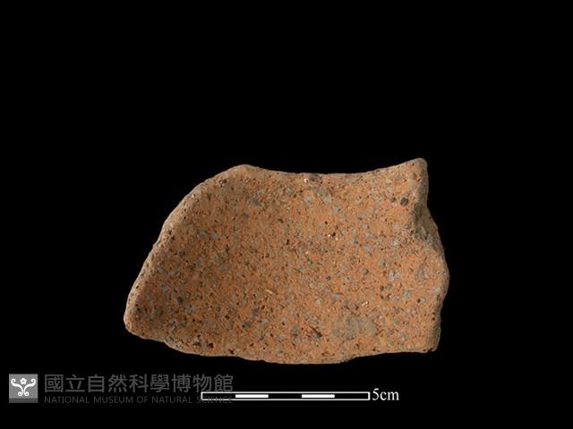 陶片藏品圖，第2張