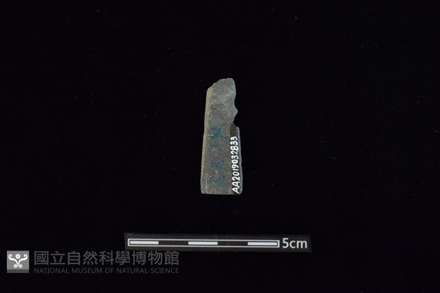矛鏃形器藏品圖，第2張