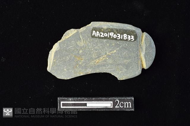 網墜藏品圖，第2張