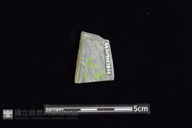 矛鏃形器藏品圖，第2張