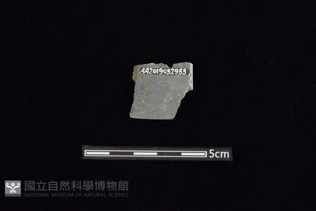 Accession Number:AA2019032953 Collection Image, Figure 2, Total 2 Figures