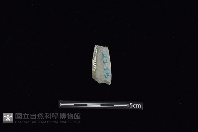 矛鏃形器藏品圖，第2張