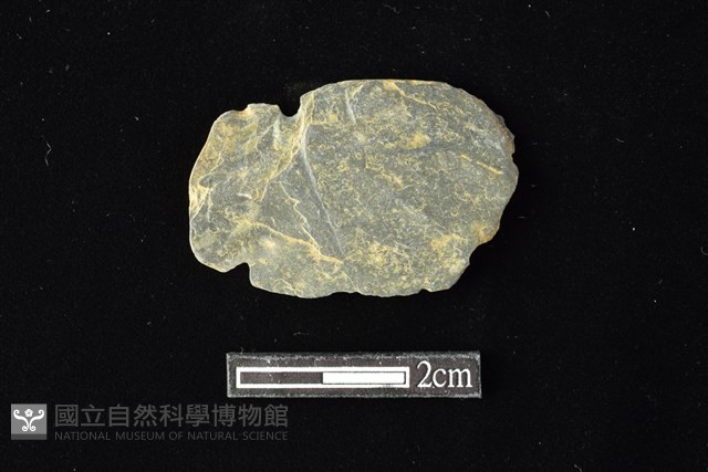 網墜藏品圖，第2張