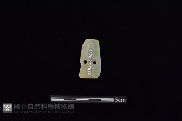 矛鏃形器藏品圖，第2張