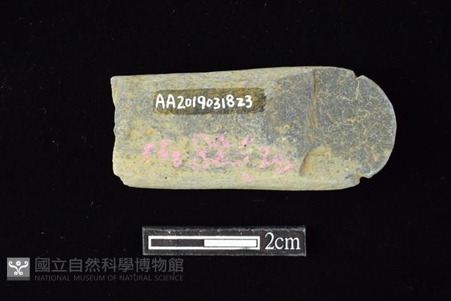 網墜藏品圖，第2張