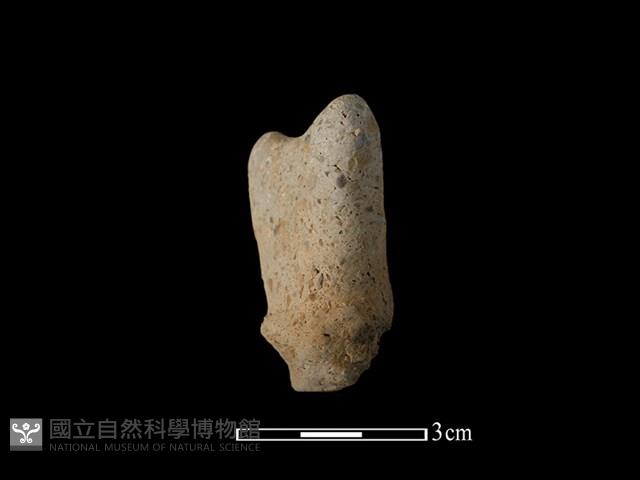 陶蓋鈕藏品圖，第2張