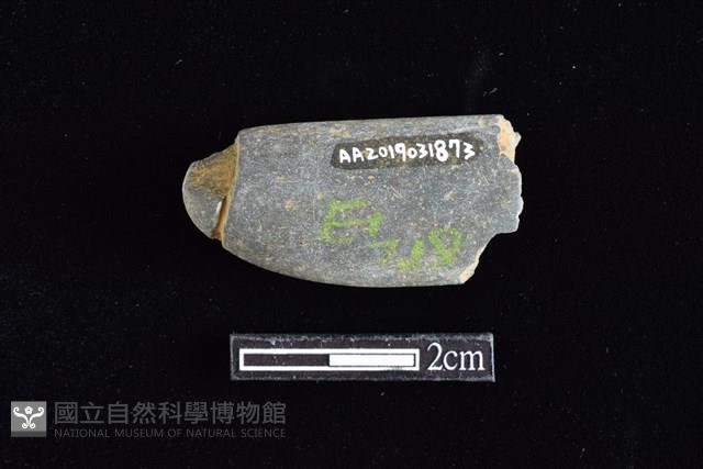 網墜藏品圖，第2張