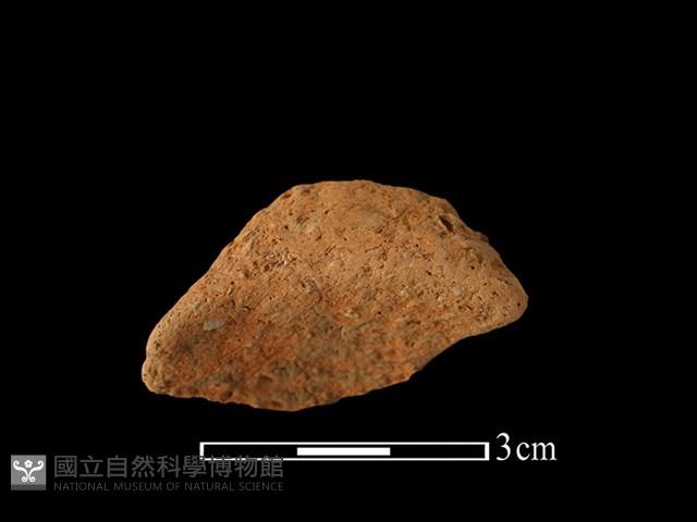 陶耳藏品圖，第2張